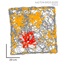 2016, à compter du 1er oct. Https Edoc Ub Uni Muenchen De 27328 1 Csordas Dora Pdf
