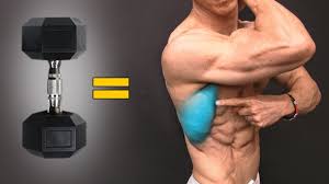 Within this group of back muscles you will find the latissimus dorsi, the out of these, the cookies that are categorized as necessary are stored on your browser as they are essential for the working of basic functionalities of. The Best Dumbbell Exercises Back Edition Youtube