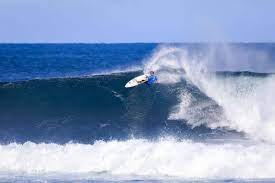 There are plenty of surfboard brands out there. Best Surfboard Brands 2021 Edition