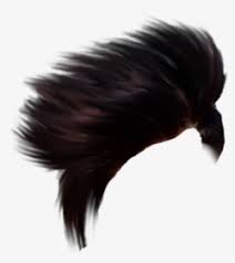 Check spelling or type a new query. 200 Hair Zip File Download Boy Hair Style Png Transparent Png Kindpng