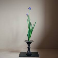 This image has been flagged as: ç«¯åˆã®ç¯€å¥ äº•ä¸Šå¤ªå¸‚æ± åŠã„ã'ã°ãªæ•™å®¤