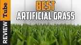 We did not find results for: Turf Evolutions Trugrass Spring The Home Depot Youtube