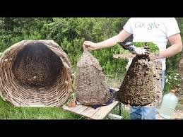 Karakovan Ariciligi 1 Bolum Sepetin Hayvan Diskisi Ile Sivanip Icine Ari Konulmasi Youtube Hayvan Aricilik Ari
