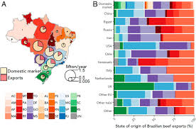 Follow the steps below and get your coins. The Origin Supply Chain And Deforestation Risk Of Brazil S Beef Exports Pnas