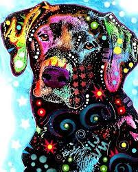 Clare county animal shelter takes in animals surrendered by individuals and stray animals found in the county. Clare County Animal Shelter Home Facebook