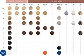 23 Faithful Koleston Colour Charts