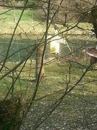 Freie Christliche Schule Niederndorf