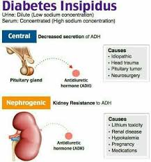 It also makes you very thirsty. Pin By Toby Lamp On Nurse Diabetes Insipidus Endocrine System Nursing Medical Mnemonics