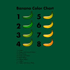 Limited Edition Exclusive Banana Color Chart