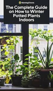 The Complete Guide On Wintering Potted Plants Indoors In 2020 Winter Potted Plants Potted Plants Patio Potted Plants
