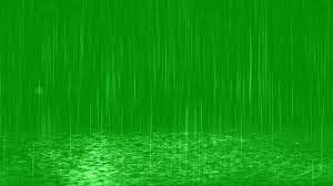 Rain Drops Fall In Puddles Green Screen Rain Effect Green Screen Video Backgrounds Green Background Video Green Screen Footage