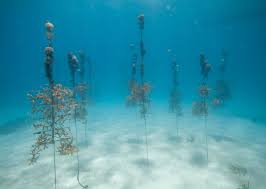 These rare underwater sinkholes offer vital information about life in the ocean. Tiktok Video Shows Weird Underwater Structures