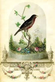 W E Tucker The Pet Bird Engraving Of A Bird Vivarium For Godey S Lady S Book Hugging Drawing Drawings Painting