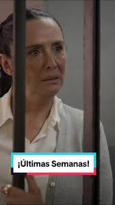 Victoria Iguaran Novelas En Las Que Actuo