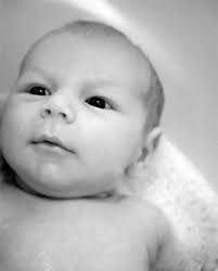 Foggie Gossip October 2008