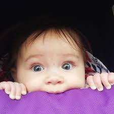 Profile for Re-home, adopt & rescue. Dogs, cats, pups & kits in SPAIN