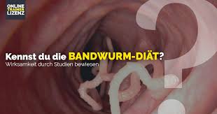1 фраза в 1 тематике. Die Bandwurm Diat Otl Blog