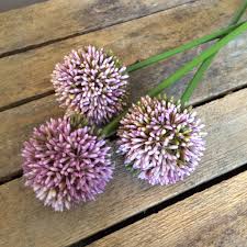 These are truly giant and amazing. Artificial Pink Purple Allium Heavenly Homes Gardens Silk Flowers Home Decor Christmas Baubles Garden