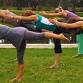 Dynamic Yoga Masterclass event image
