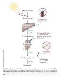 Use Of Vitamin D Drops Leading To Kidney Failure In A 54 Year Old Man Acute Kidney Injury Case Presentation Chronic Kidney Disease