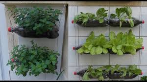 Next article kis topic par ho niche apna suggestion jarur de. Bottle Garden Youtube