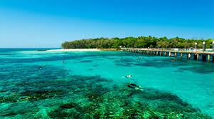 Best Time To Visit Cairns For Weather And Price Finder Com Au