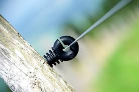 An electric bear fence is the only way to keep bears from ruining gardens. Tips For Installing An Electric Fence For Your Horse Everything Horse