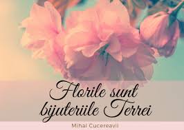 Mesaje florii floriile intrarea in iersulsalim florin. Mesaje De Florii Womens Fashion Boho Chic Flower Power Essential Oil Mist