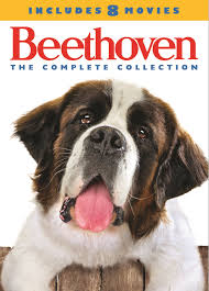 Beethoven, as he is named, grows into a giant of a dog. Beethoven The Complete Collection Includes 8 Movies 4 Discs Dvd Best Buy