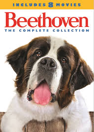It is the first installment of the beethoven film series. Beethoven The Complete Collection Includes 8 Movies 4 Discs Dvd Best Buy