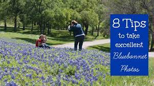 50% of all reviewers would recommend doctors at this mental health clinic to a friend or family member. Best Bluebonnet Spots In Round Rock Round The Rock