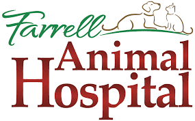 Maybe you would like to learn more about one of these? Vet Near 76013 Farrell Animal Hospital Arlington Tx