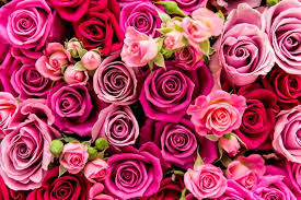 To order valentine's day flowers online simply choose which bouquet. When Is Valentine S Day 2019 In Ireland Who St Valentine Was And The Real Story Facts And History Behind February 14 Irish Mirror Online