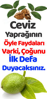 Ceviz Yapraginin Oyle Faydalari Varki Cogunu Ilk Defa Duyacaksiniz Natural Sleep Remedies Natural Health Remedies Health Remedies