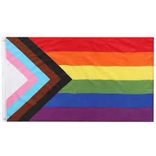 TRIXES Progress Rainbow Flag - LGBTQ+ Pride Flags - Outdoor en Indoor  Decoraties voor thuis, Tuin, een Festival