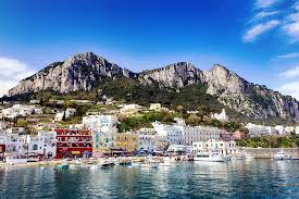 Hosted Site Search Discovery For Companies Of All Sizes Voyage Italie Ile De Capri Excursion