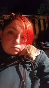 Dressing up rat terriers for photos