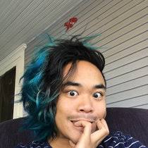 branchythings' collection