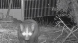 看板 gossiping 作者 skob (skob) 標題 問卦 還有哪裡沒停電？ 有哪些地方鄉民沒停電的嗎？ 有掛？ ※ 八卦板務請到 gossippicket 檢舉板實名詢問 ※ a.張貼問卦請注意，充實文章內容、是否有專板，本板並非萬能問板。 ※ b.一天只能張貼 兩則 問卦. æ¡ƒåœ'é€¾6è¬æˆ¶å¤§åœé›»å°é›» ç™½é¼»å¿ƒèª¤è§¸é–‹é—œå°Žè‡´ æ±æ£®æ–°èž