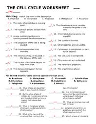 Worksheet cell cycle regulation worksheet pogil ap biology cell cycle regulation answers 100 images 18 s chapter 12 part 1 from the cell cycle worksheet answer key, source:slideshare.net. Mx8olt9weifz2m