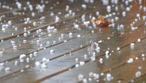Na asa sul, queda de árvore interrompeu o trânsito. Voce Sabe Como Se Forma A Chuva De Granizo Escola Educacao