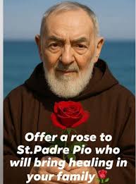 DO NOT REJECT Saint Therese of the Impossible Causes, pray for us. If she  has appeared to you, offer her α rose: many blessings are