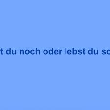 Case Kay Eichner Kreativer Problemloser