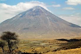 Image result for Glenniea africana