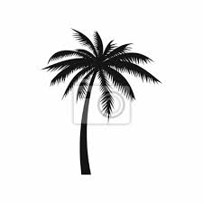 Deira, port saeed, emirates natl investment tower. Kokosnuss Palme Symbol Einfache Art Fototapete Fototapeten Subtropischen Botanischen Coco Myloview De