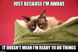 Just Because I M Awake It Doesn T Mean I M Ready To Do Things Grumpy Cat Funny Grumpy Cat Memes Grumpy Cat Funny Good Morning Memes
