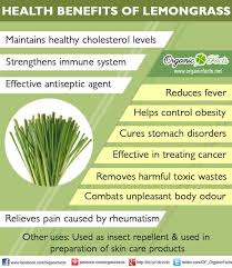 Pin On Benefits Of Herbs And Spices