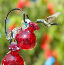 Maybe you would like to learn more about one of these? Pixie Hanging Glass Hummingbird Feeder Yard Envy Glass Hummingbird Feeders Humming Bird Feeders Hummingbird