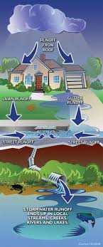 What Has Changed With Urbanization Increased Compaction And Loss Of Soil Structure Loss Of Organic Pollution Activities Pollution Prevention Water Lessons