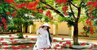 Lọc lọc 105 stt chia tay tuổi học trò “lấy đi nhiều nước mắt” nhất - Elead
